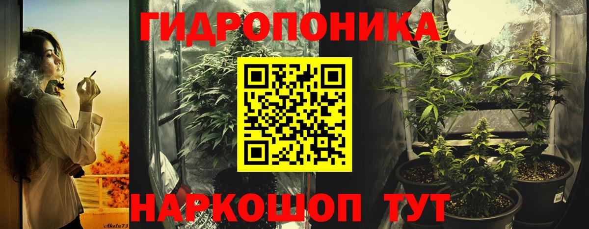 Бошки Шишки сатива Куйбышев